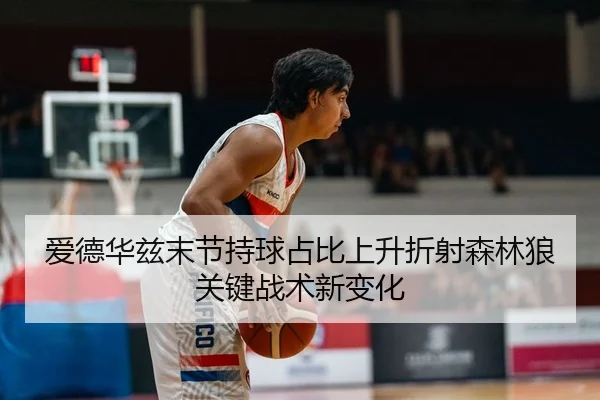 爱德华兹末节持球占比上升折射森林狼关键战术新变化